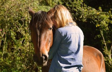 Horse experience in Ecuador1